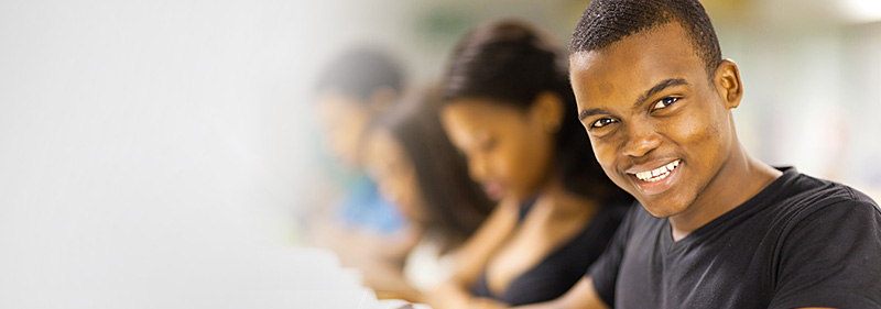 merseta skills development